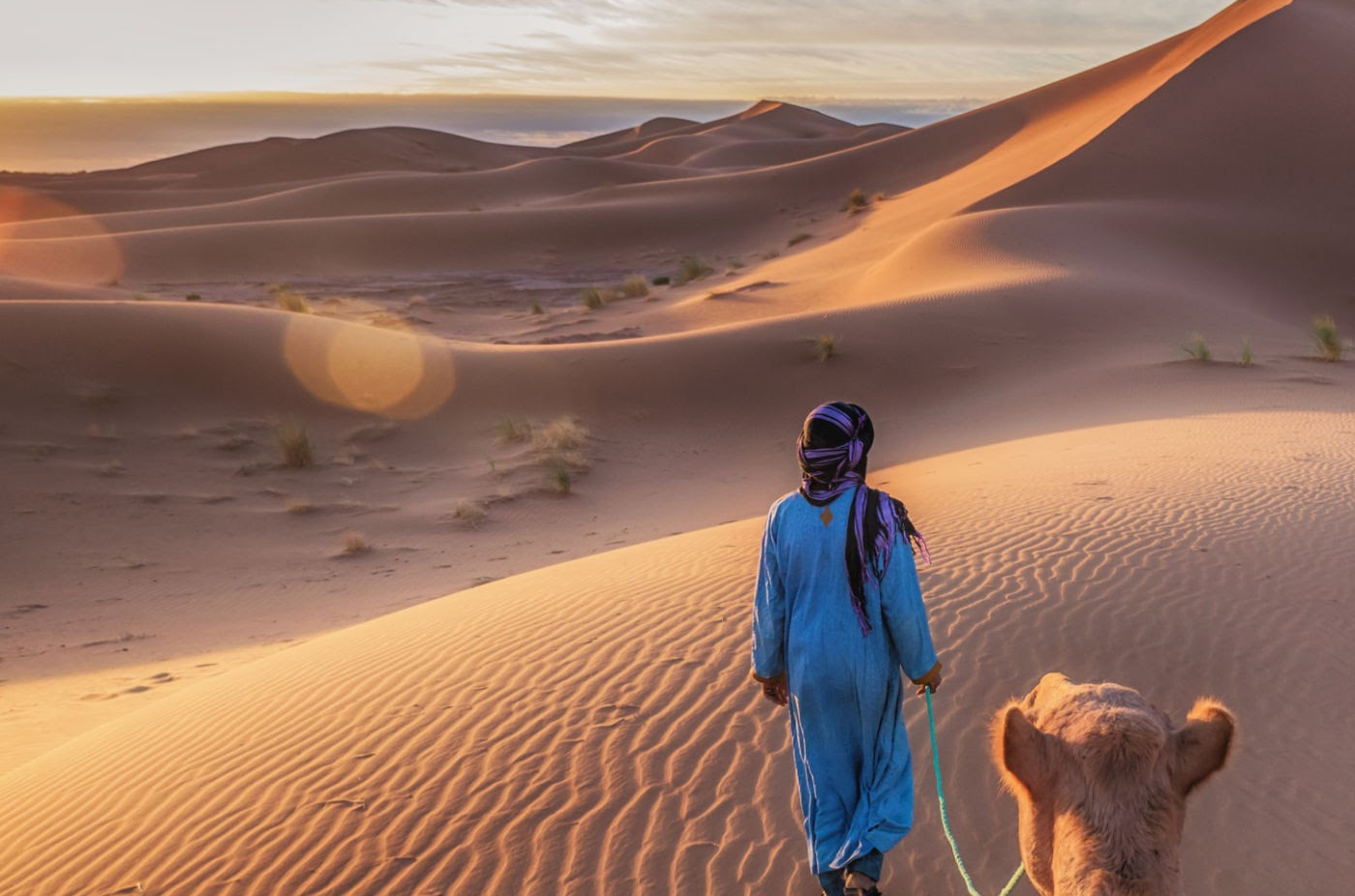 Camel Trek