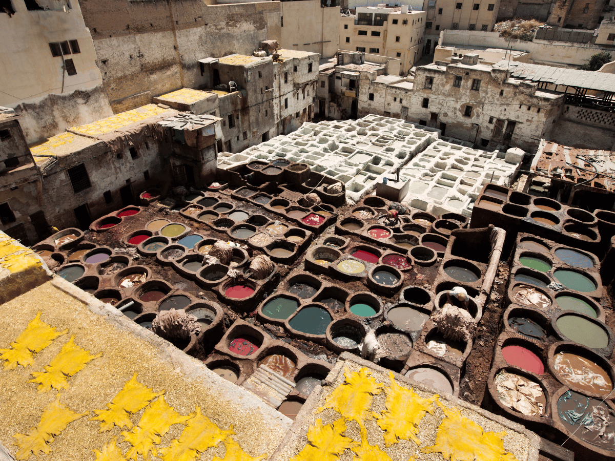 Tours From Fes
