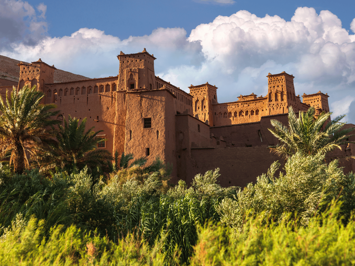 Tour de 7 días desde Marrakech a Chefchaouen y Fez 